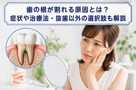 歯の根が割れる